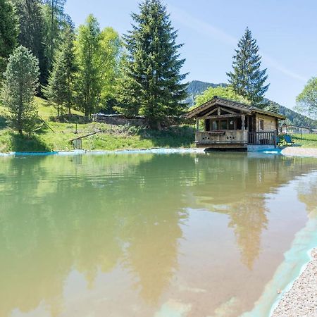 Almliesl Holl-559 Villa Hollersbach im Pinzgau Exterior photo