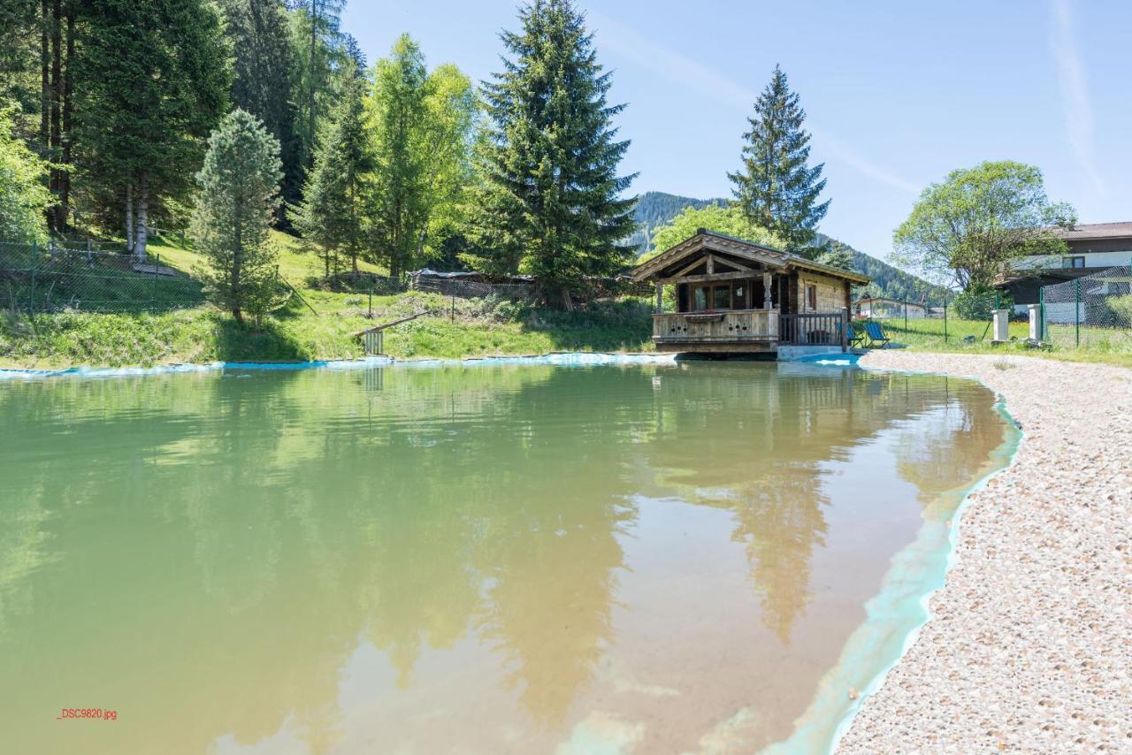 Almliesl Holl-559 Villa Hollersbach im Pinzgau Exterior photo